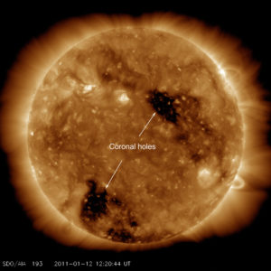Coronal hole sunspot